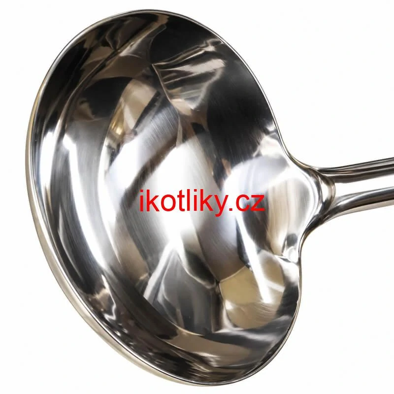 Nerezová naběračka 250 ml s dřevěnou rukojetí – délka 51,5 cm